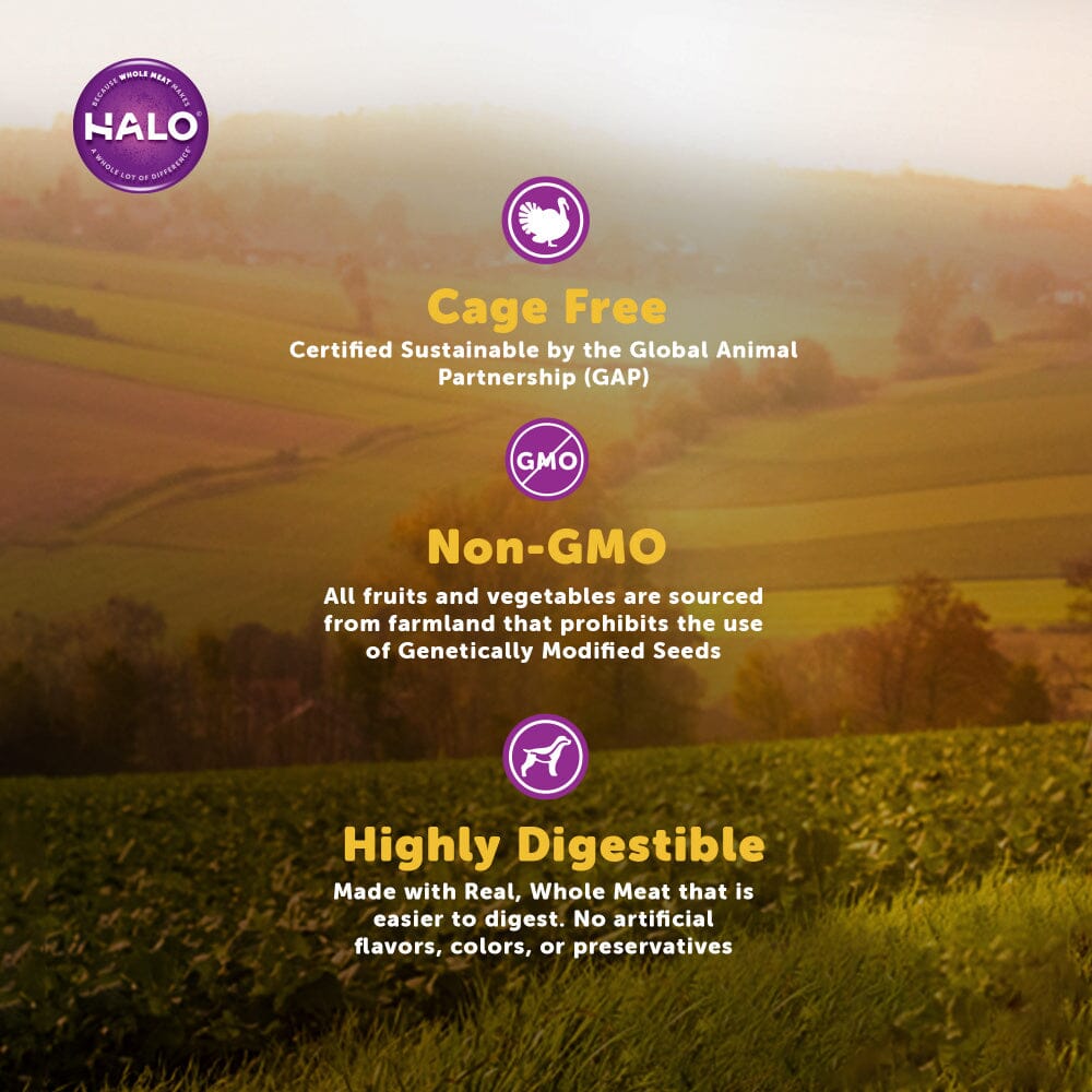 Halo Small Breed Holistic Grain Free Game Bird Medley Dry Dog Food