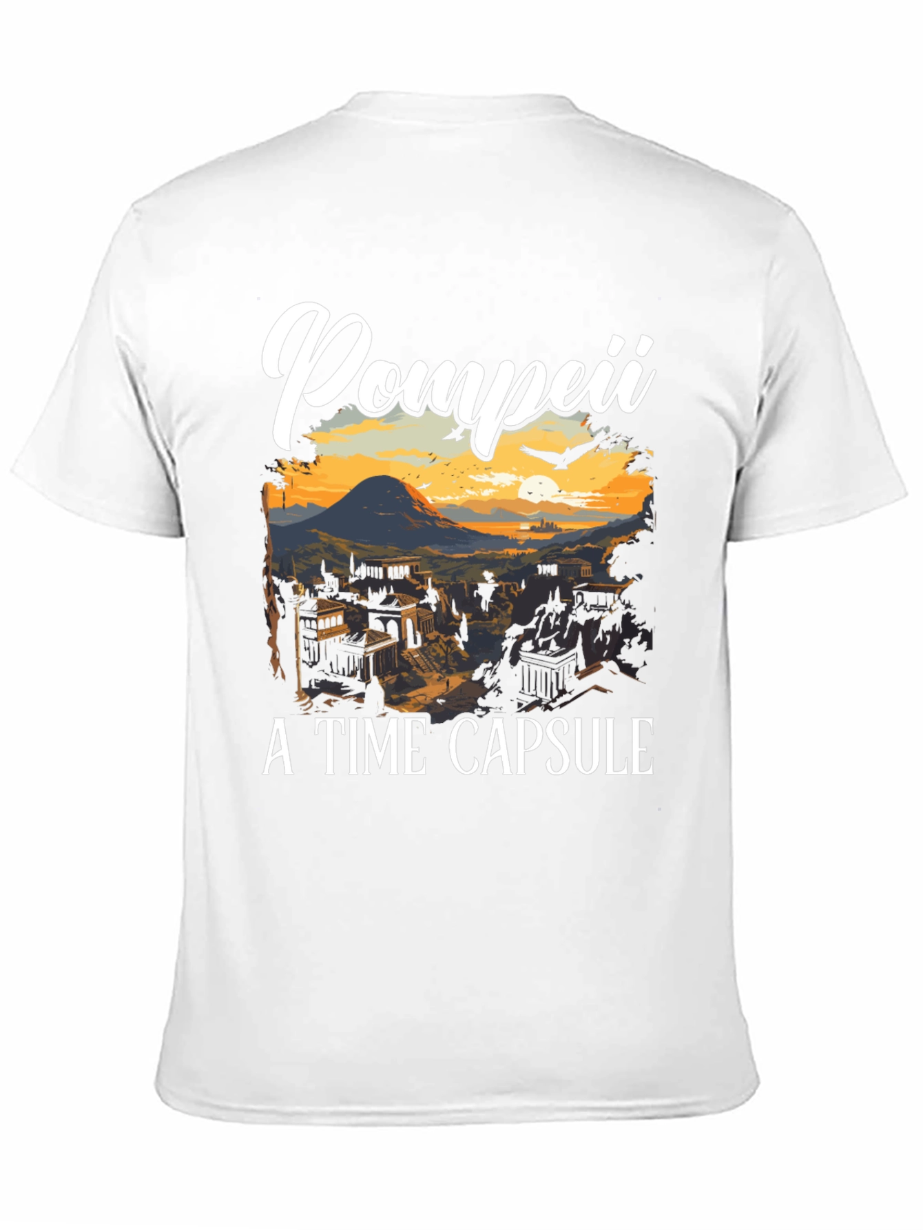 Pompeii A Time Capsule T-Shirt