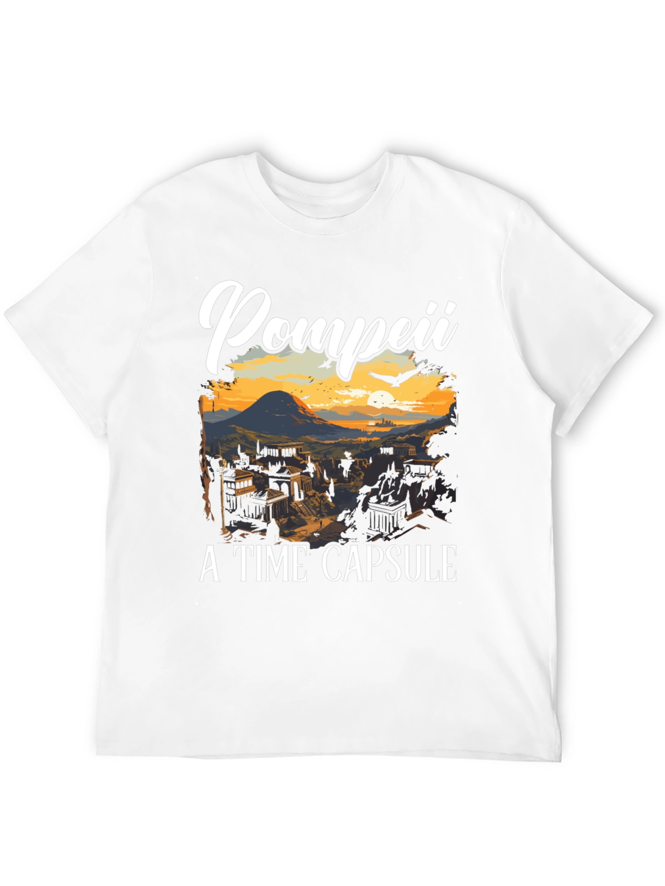Pompeii A Time Capsule T-Shirt