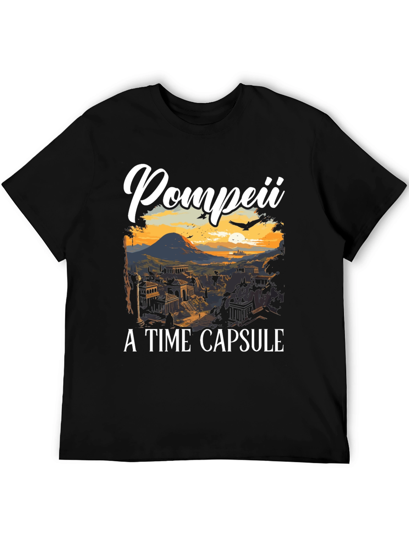 Pompeii A Time Capsule T-Shirt
