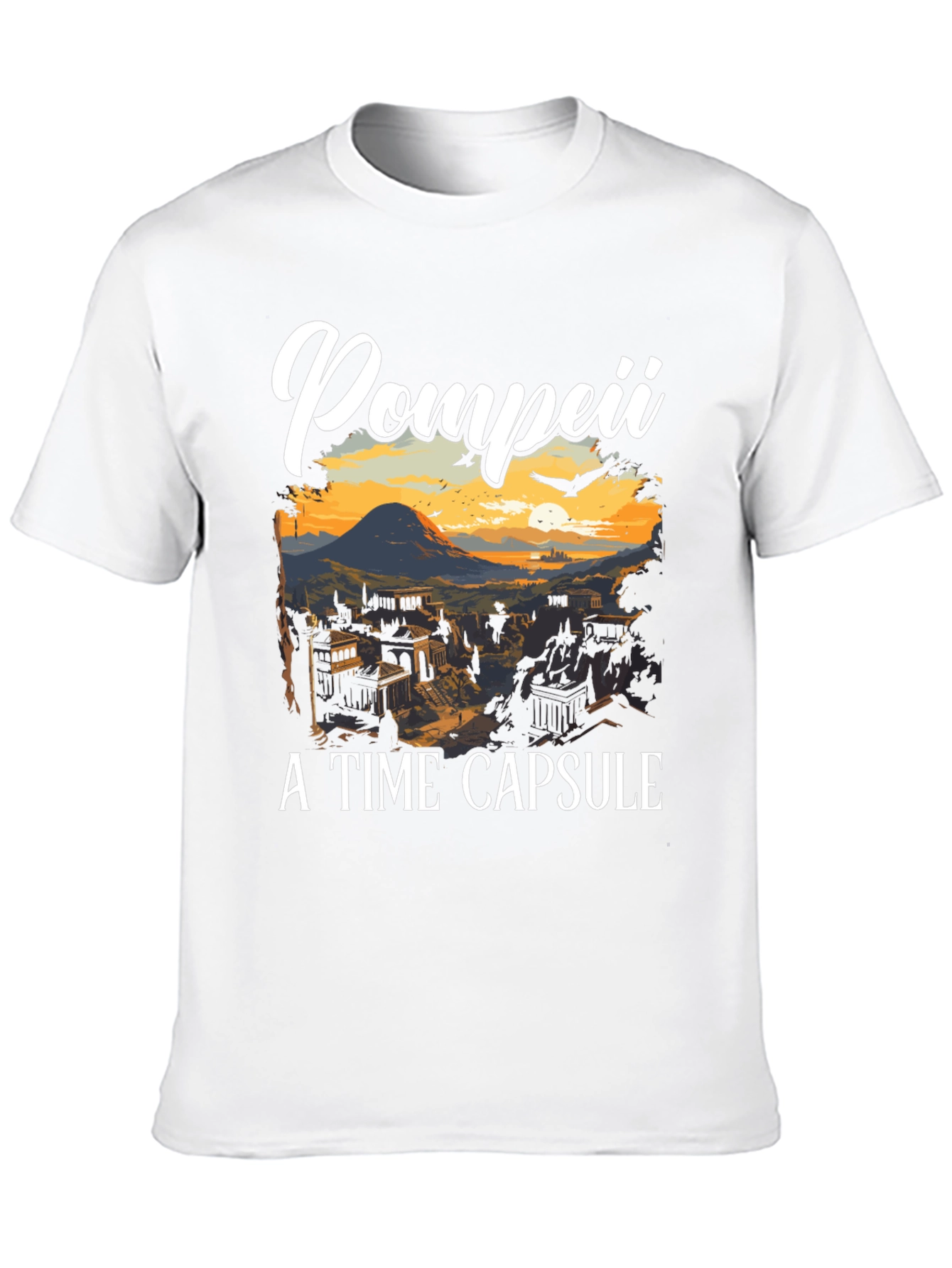 Pompeii A Time Capsule T-Shirt