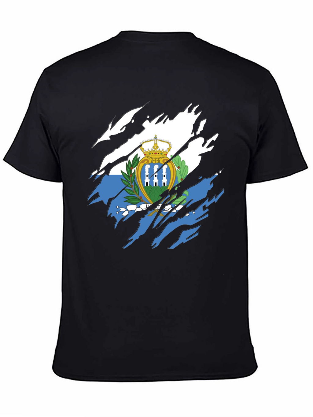 San Marino Flag T-Shirt - Distressed Graphic Tee