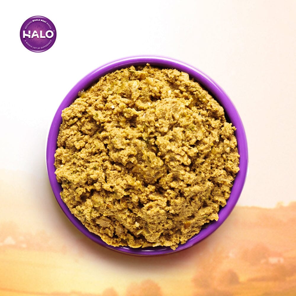 Halo Grain Free Indoor Cat Salmon Pate Canned Cat Food