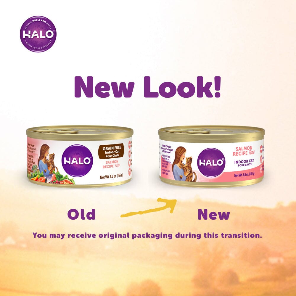 Halo Grain Free Indoor Cat Salmon Pate Canned Cat Food