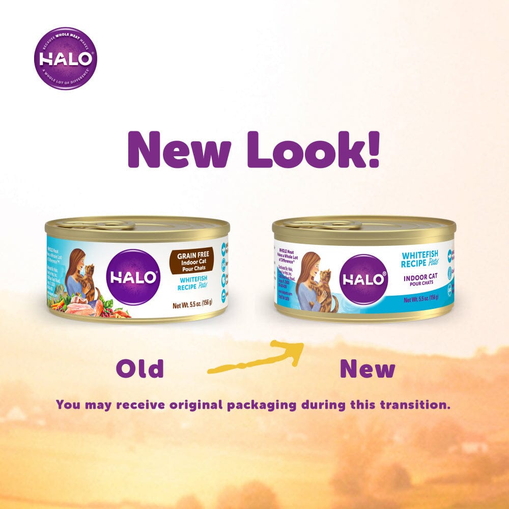 Halo Grain Free Indoor Cat Whitefish Pate Canned Cat Food