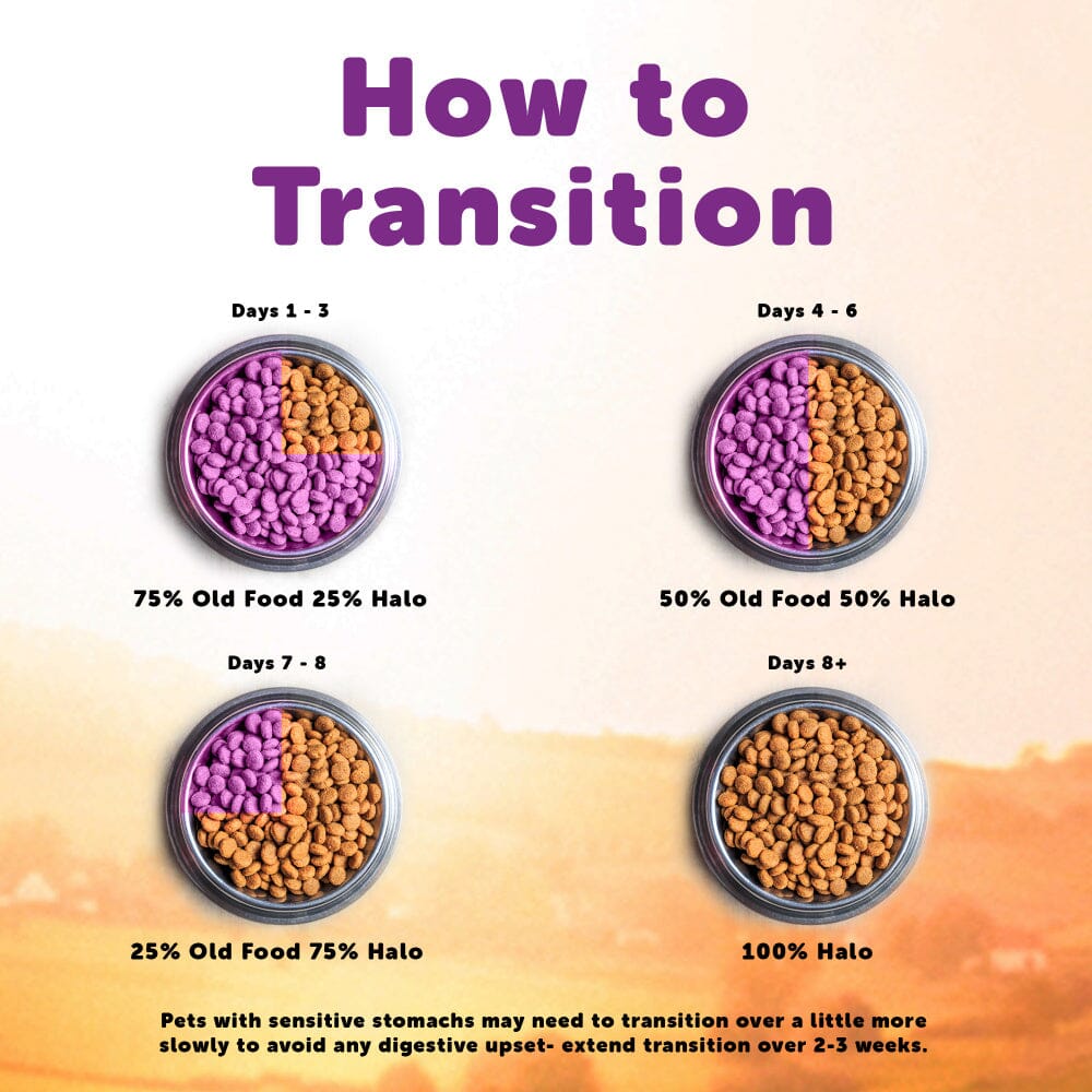 Halo Grain Free Indoor Cat Whitefish Pate Canned Cat Food