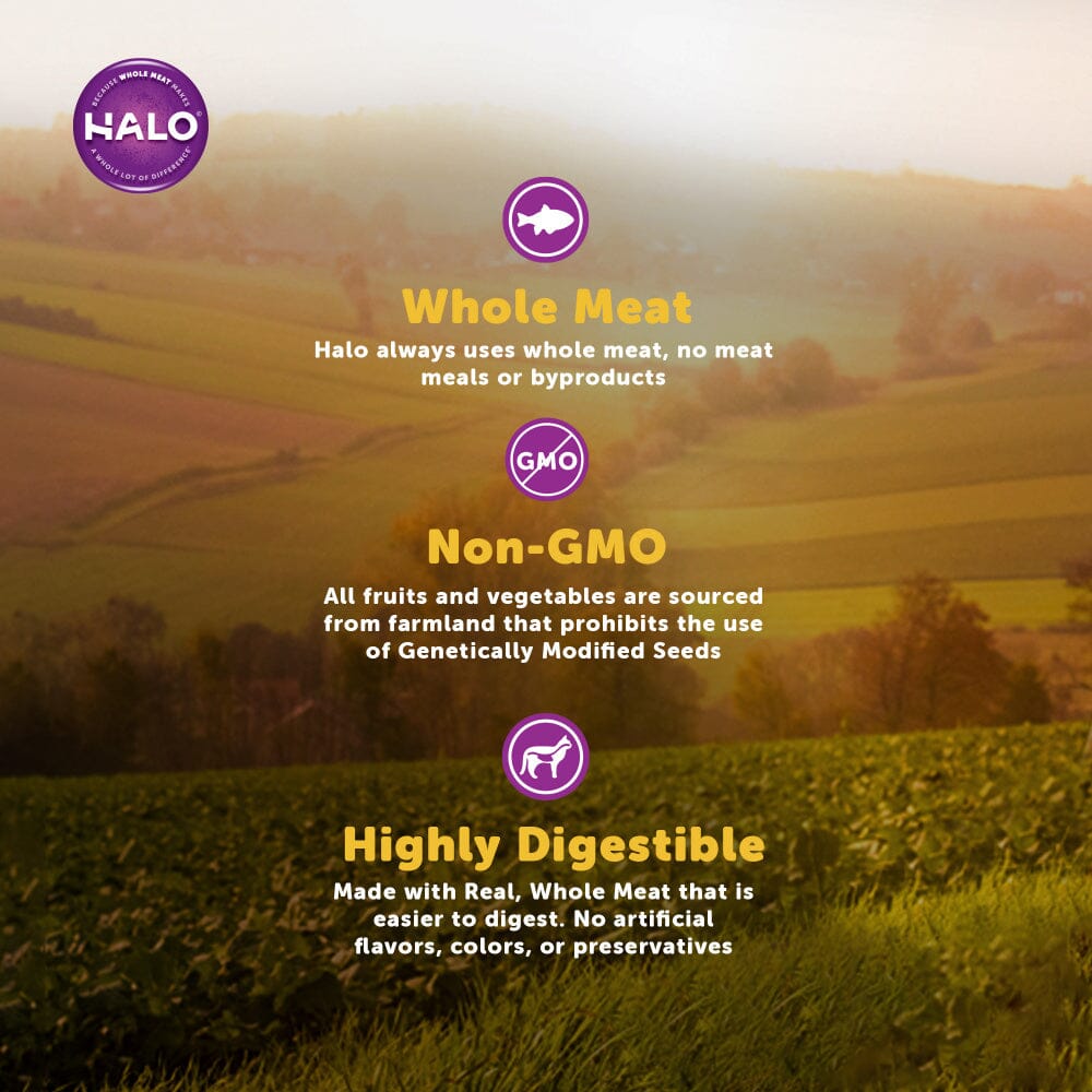 Halo Grain Free Indoor Cat Whitefish Pate Canned Cat Food