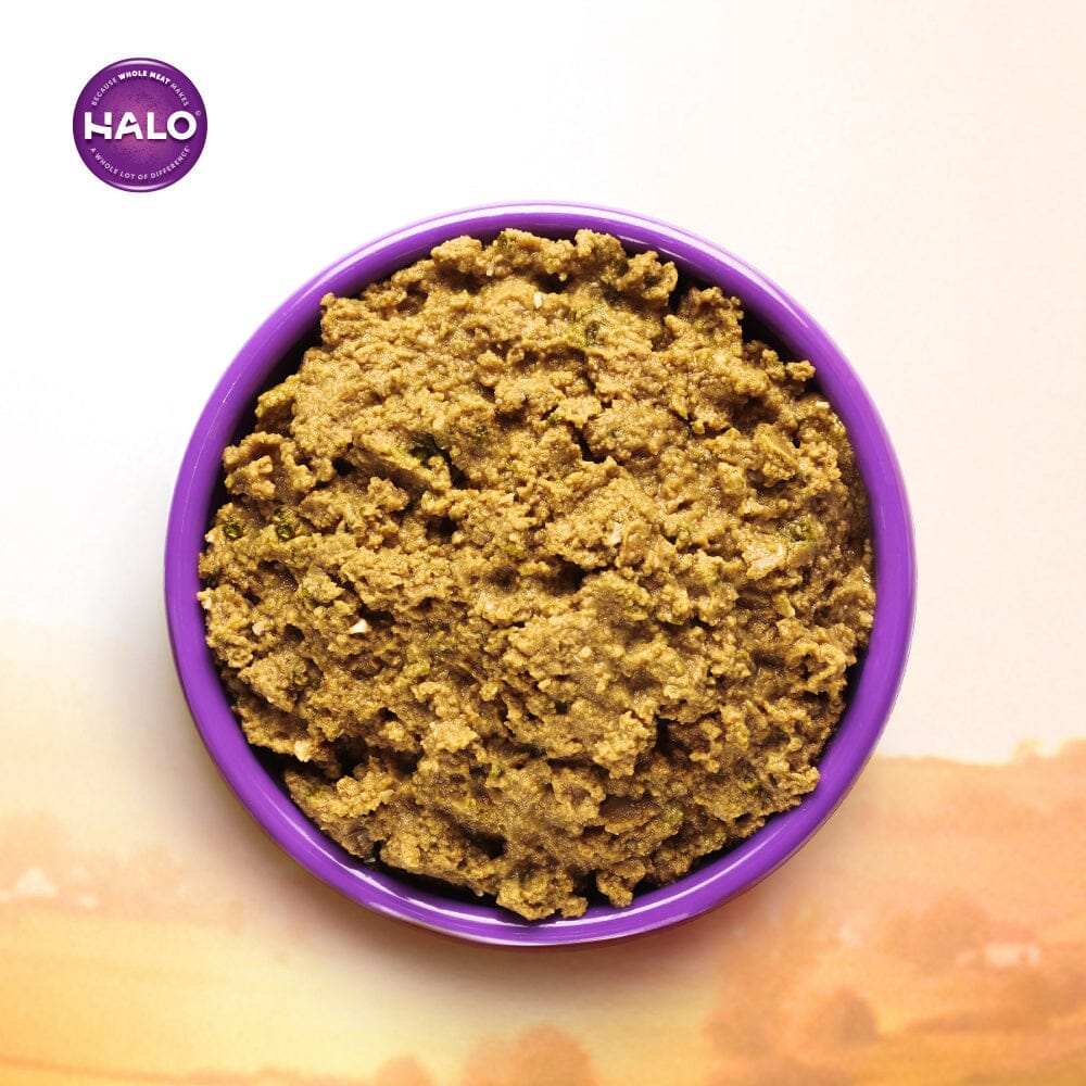 Halo Grain Free Indoor Cat Whitefish Pate Canned Cat Food